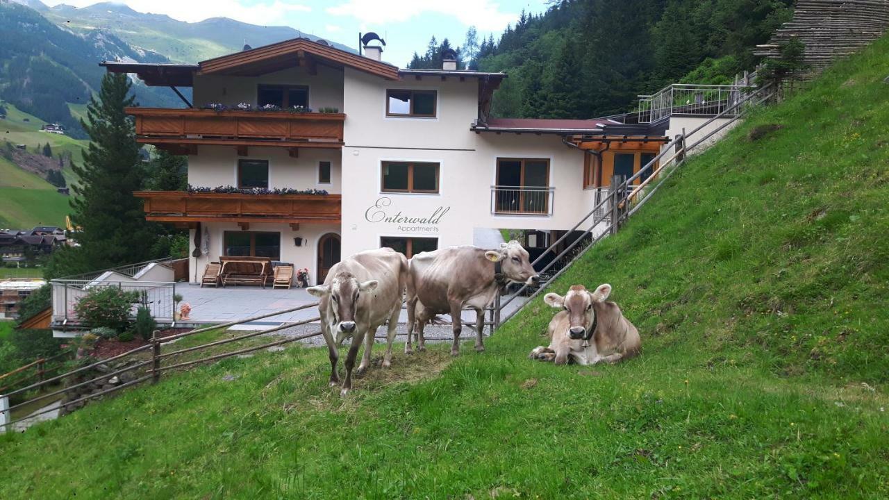 Apartment Appartments Enterwald *